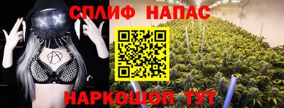 стаф Кулебаки